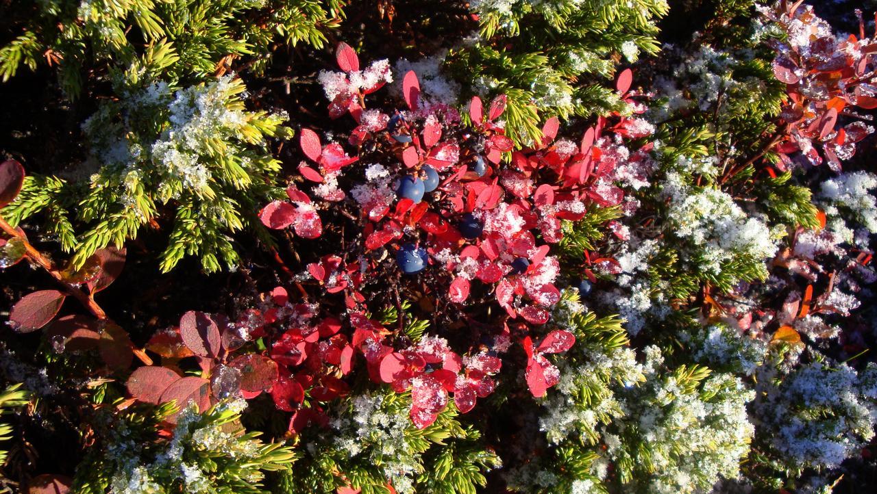 Nordic Natura Garthur المظهر الخارجي الصورة